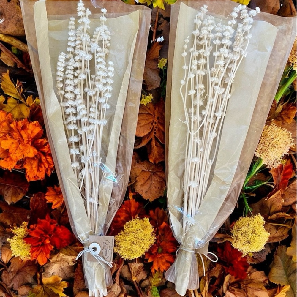 🎉HP🎉Preserved Lions Grass…beautiful! This deal comes with 2 packs!🎉HP🎉 - Picture 2 of 5